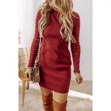 Ribbed Turtleneck Dress