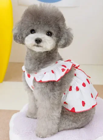 White Strawberry Summer Dress